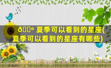 🐺 夏季可以看到的星座(夏季可以看到的星座有哪些)